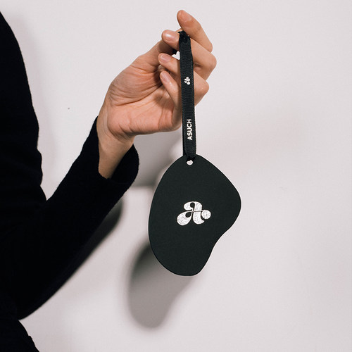 ASUCH香片衣橱除味车载