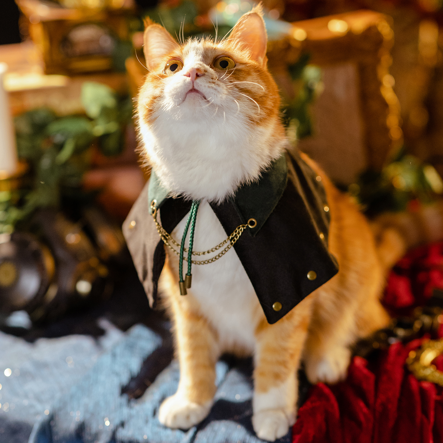 蒸汽大陆猫咪狗狗宠物披肩服装