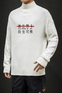 M18028-P45 秋冬半高领毛衣男大码图片