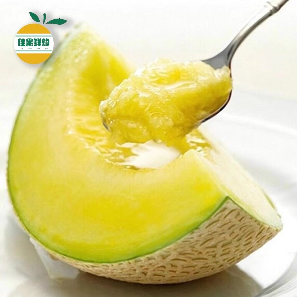 日本品种玫珑蜜瓜静冈礼盒装网纹瓜哈密瓜甜蜜瓜新鲜水果顺丰包邮