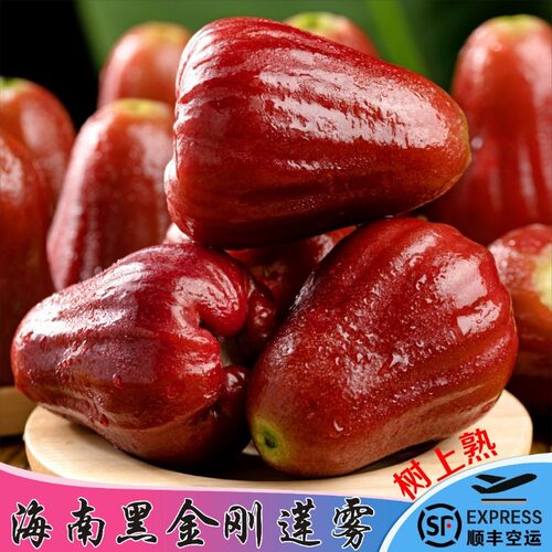 海南黑金刚莲雾3斤礼盒装发顺丰
