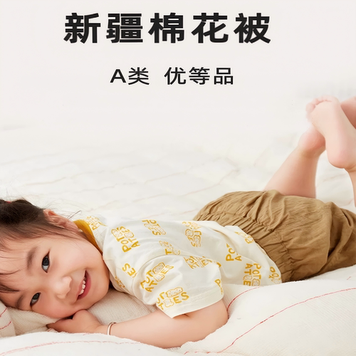 新疆棉被芯被子棉絮冬被床垫褥子