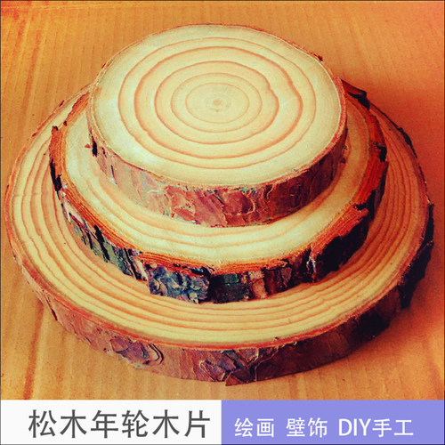 松木年轮木片带树皮绘画儿童diy