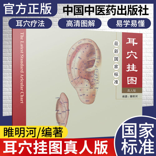 最新国家标准耳穴挂图真人版耳朵穴位人体经络图高清大挂图中医养生针灸按摩海报家用 中国中医药出版社9787513205399