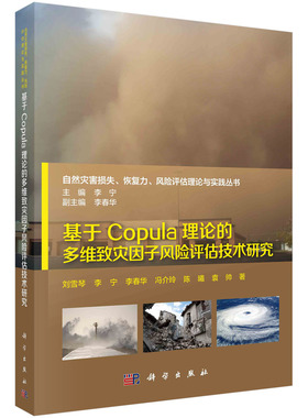 基于Copula理论的多维致灾因子风险评估技术研究