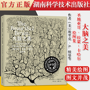 传世之作湖南科学技术出版 卡哈尔绘图集现代神经学之父 大脑之美：圣地亚哥·拉蒙 社 中文版