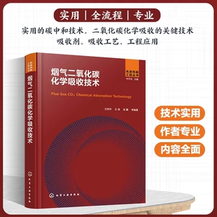 烟气二氧化碳化学吸收技术 方梦祥 碳中和技术碳减排 二氧化碳减排二氧化碳吸收 能源工程环境工程化工工艺等专业技术人员参考 978