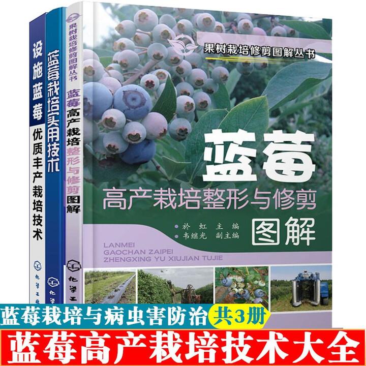 【全3册】蓝莓栽培实用技术+蓝莓高产栽培整形与修剪图解+设施蓝莓优质丰产栽培技术