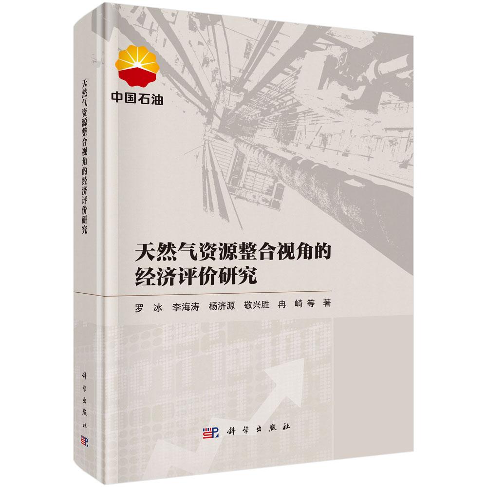 天然气资源整合视角的经济评价研究