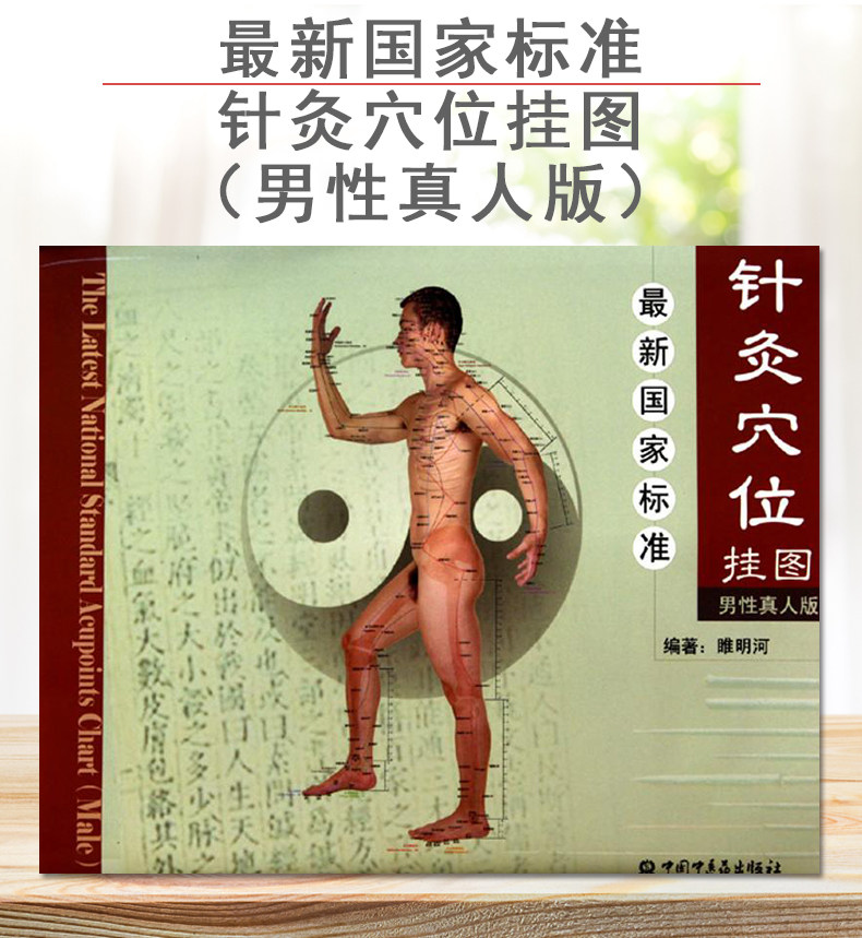 正版书籍 国家标准针灸穴位挂图（男性真人版）睢明河   经络穴位针灸按摩大全 中国中医药出版社