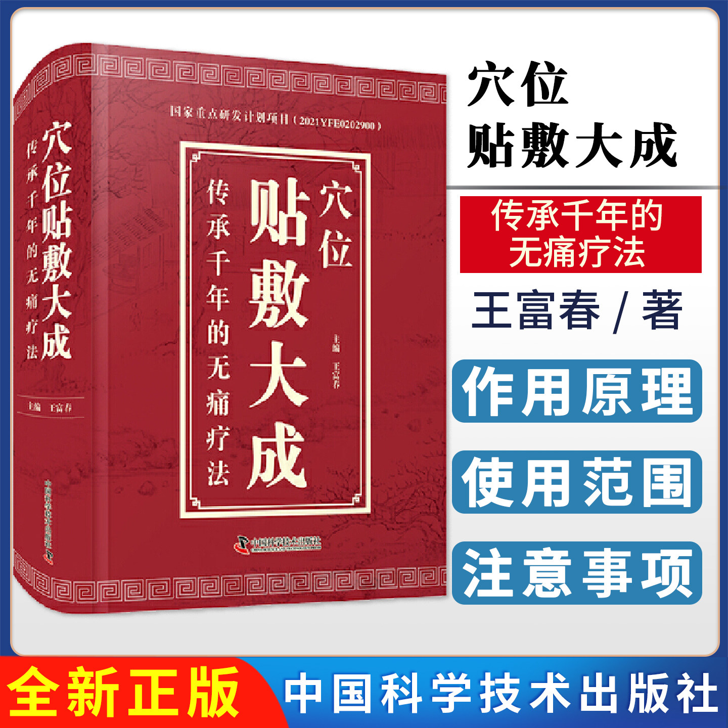 穴位贴敷大成 传承千年的无痛疗法 中国科学技术出版社