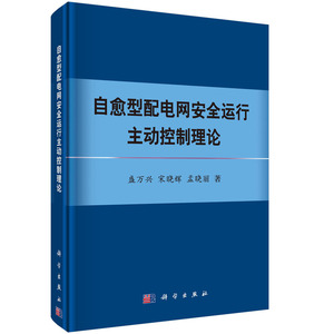 正版书籍 自愈型配电网安全运行主动控制理论 盛万兴，宋晓辉，孟晓丽 科学出版社 9787030602282