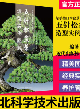 正版书籍 五针松盆景造型实例图解 日本盆景大师系列 观赏园艺图解彩图版盆景制作大全盆景造型赏析制作养护培训技法入门