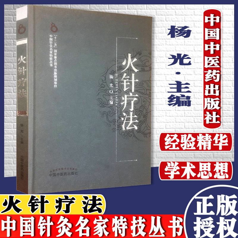 正版书籍 火针疗法-中国针灸名家特技丛书 医学书籍 中医书籍 杨光主编 9787513217682 中国中医药出版社