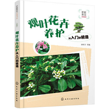 观叶花卉养护从入门到精通 四季养花书籍种花图书大全 花卉种植技术书籍 植物盆栽徐帮学等编 养花知识书化学工业出版社