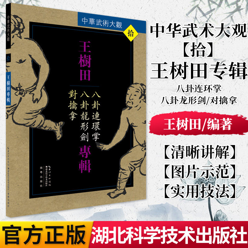 正版书籍 王树田专辑:八卦连环掌、八卦龙形剑、对擒拿 湖北科学技术出版社 9787535285935