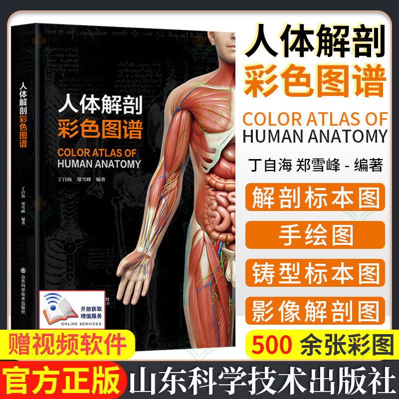 人体解剖彩色图谱研究丁自海系统解剖学赠视频增值服务生命科学