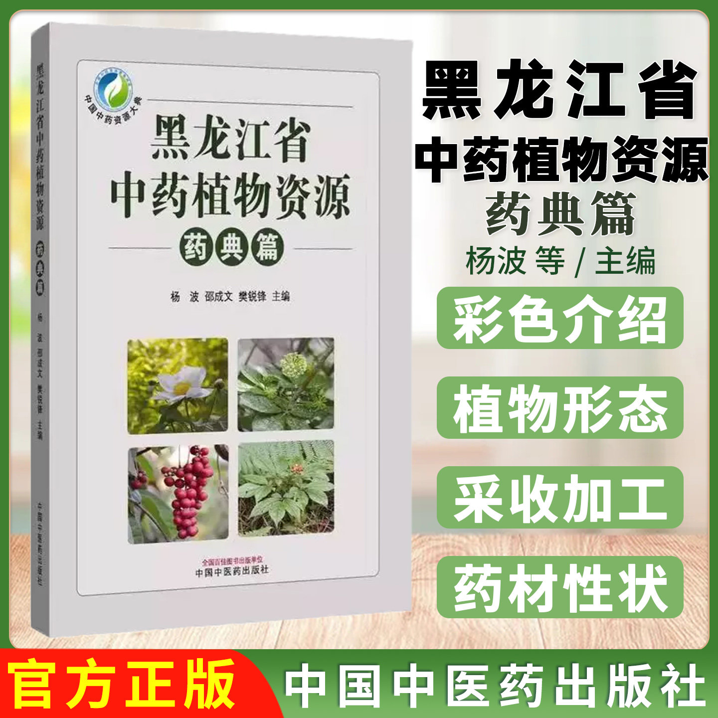 黑龙江省中药植物资源 药典篇 杨波 中国中医药出版社9787513294935