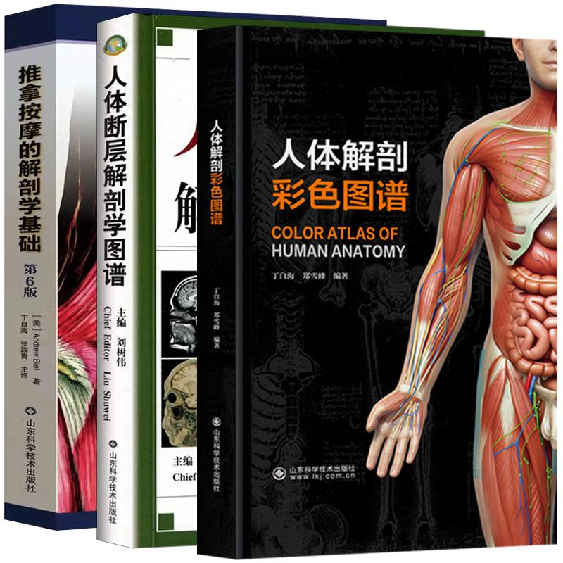 【全3册】推拿按摩的解剖学基础（第6版）+人体断层解剖学图谱+人体解剖彩色图谱 山东科学技术出版社