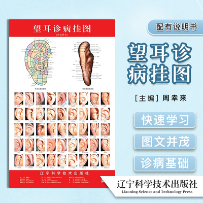 望耳诊病挂图 周幸来 主 生活 方剂学、针灸推拿 中医 新华书店正版图书籍辽宁科学技术出版社
