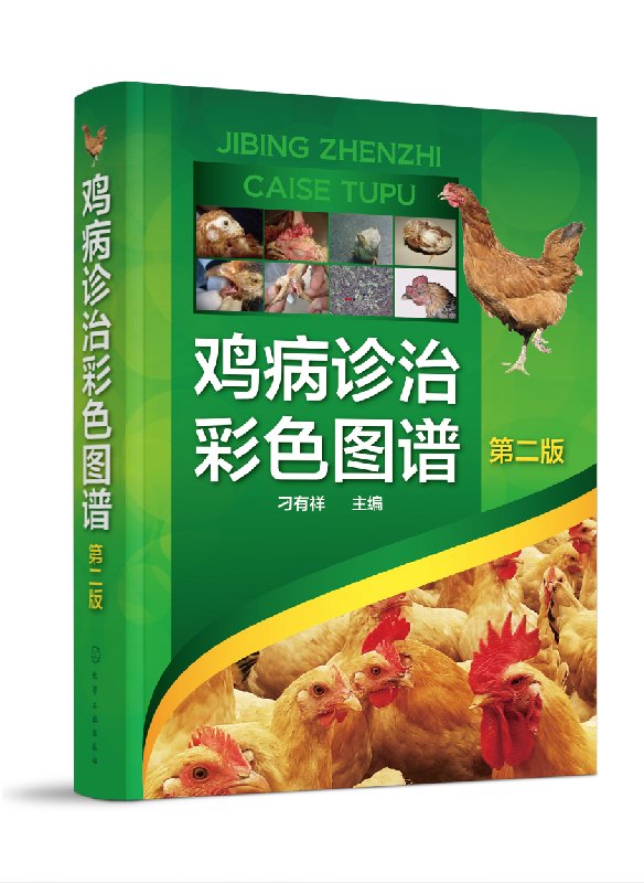 鸡病诊治彩色图谱(第二版)