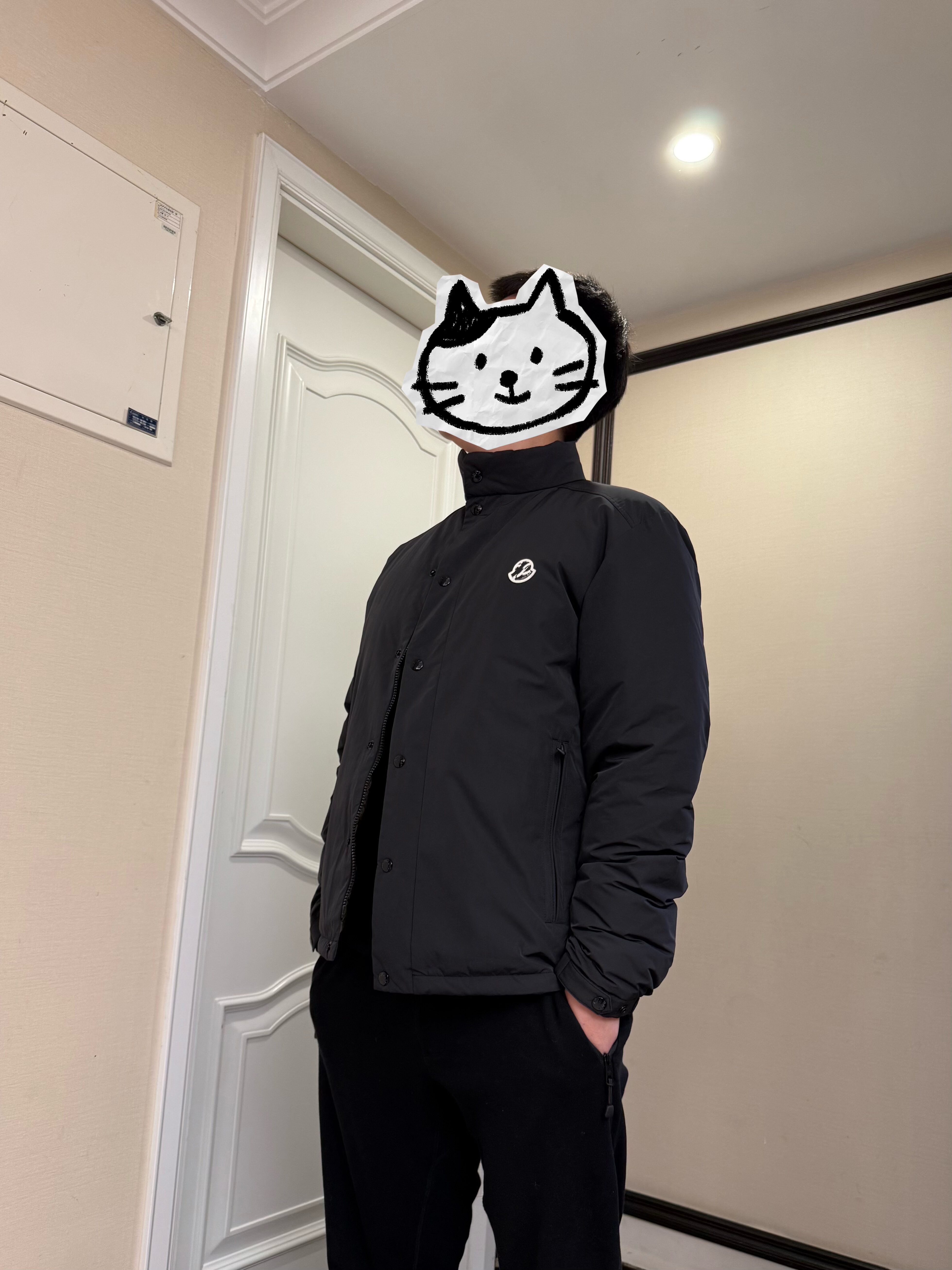 11.19更男款厅里厅气立领羽绒服澳标95 白鹅绒 VIP链接 无退换