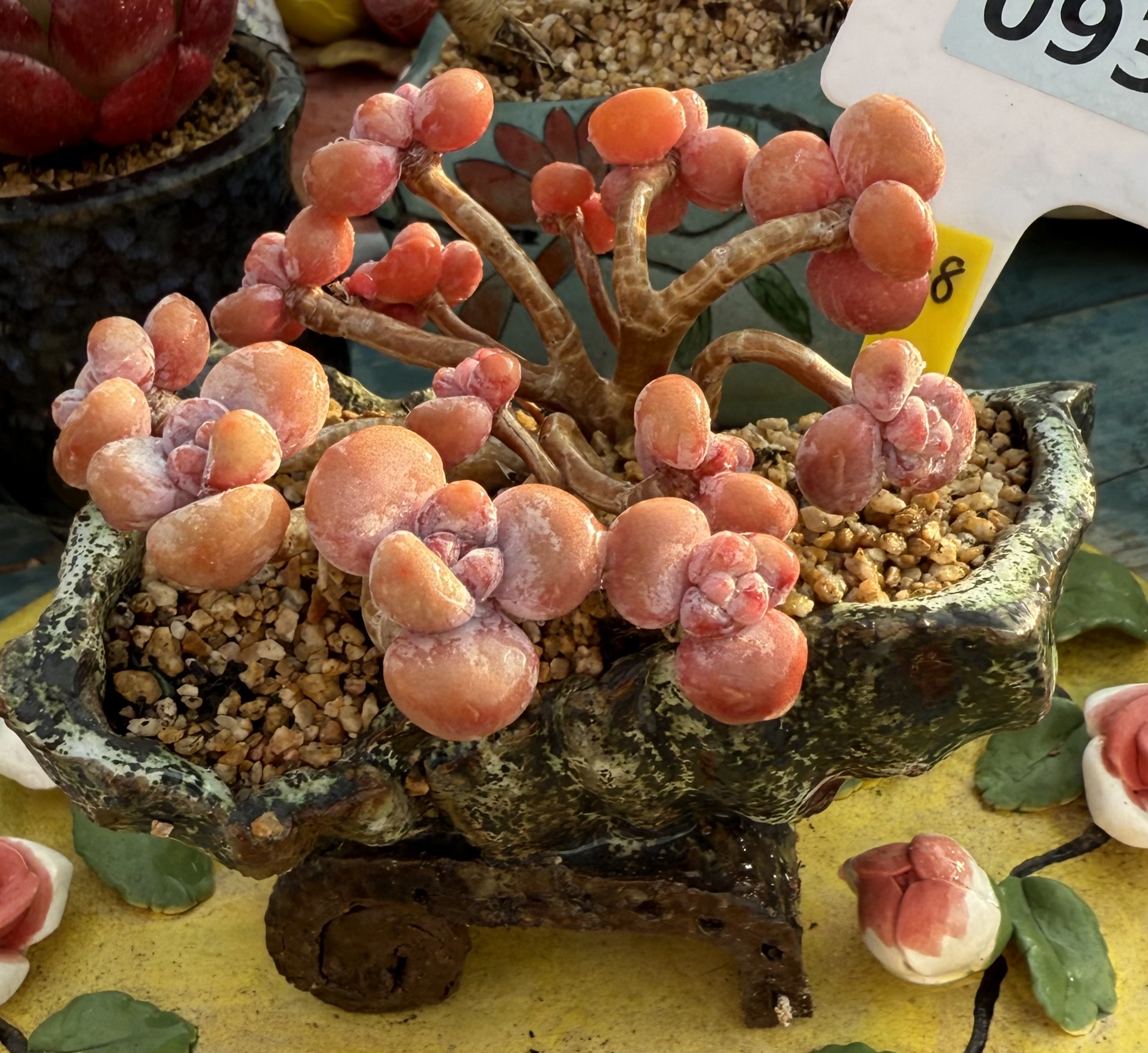 桃蛋朵朵缀 丸叶全粉