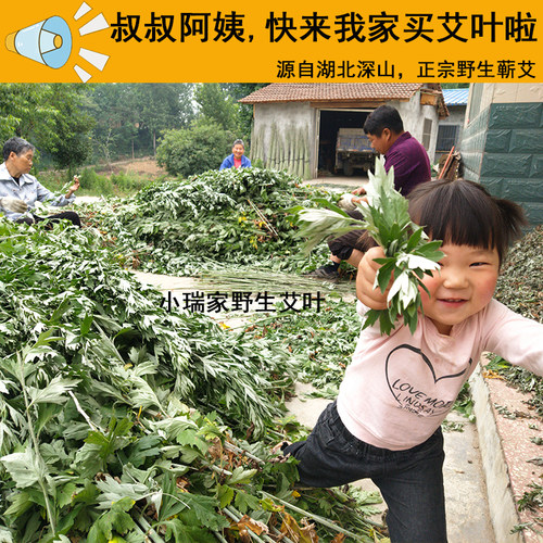 野生艾叶干艾草月子产妇泡脚包