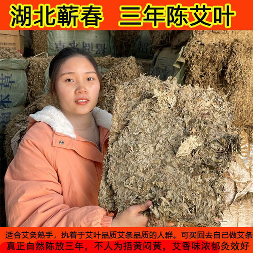 正宗三年陈野生湖北驱湿自制艾条
