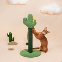 Zeze Cactus Cat Scratch Plate захваченная кошачья шлифовая шлифовая панель панель меча конопля Конопля, увольнение маленькой домашней игрушки