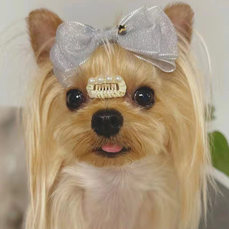 新款蝴蝶结头花 宠物狗狗青蛙夹 泰迪头饰马尔济斯博美比熊饰品