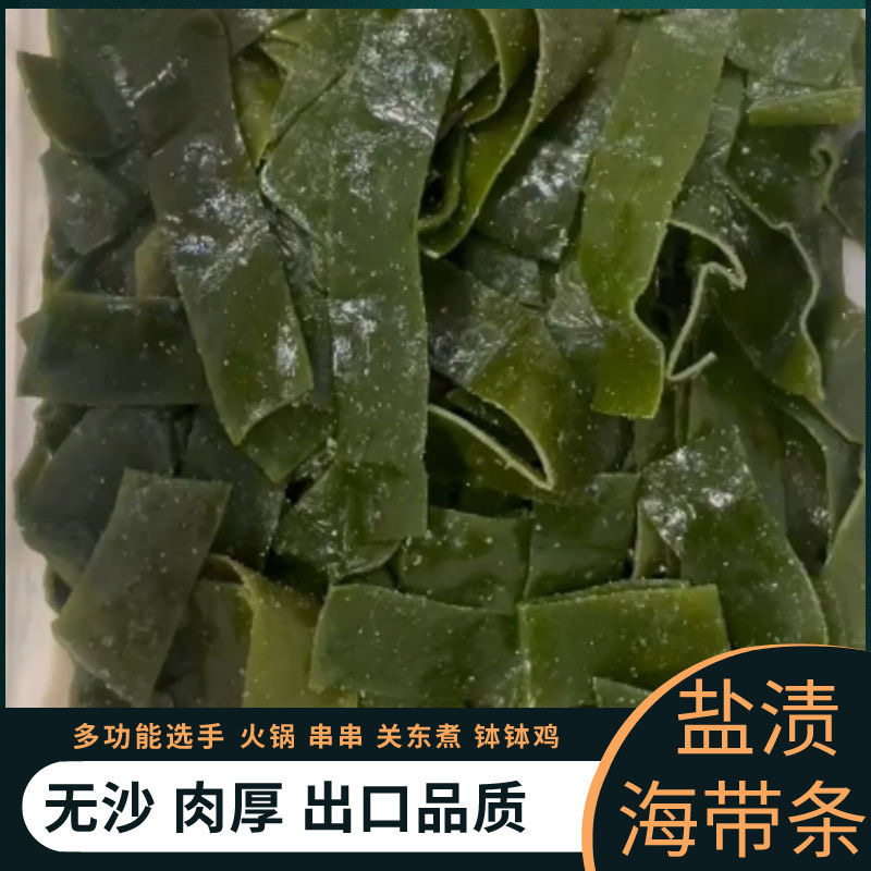 海带新鲜盐渍厚海带丝结片海带根干货海带厚条无沙整箱麻辣烫涮菜