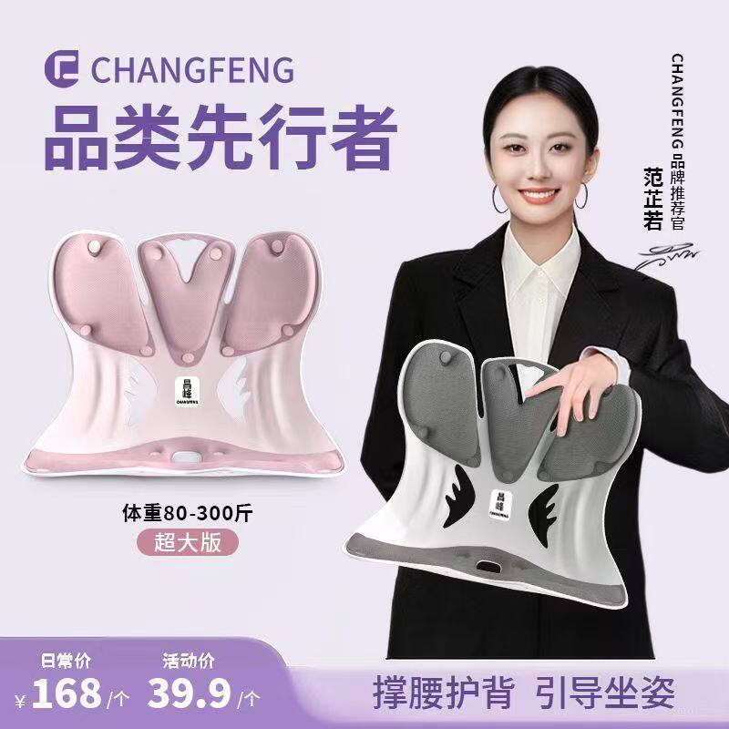 昌峰人体工学护腰坐垫靠背垫腰靠矫正坐姿防驼背座椅久坐不累神器