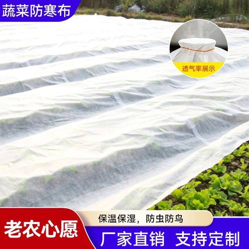 老农心愿蔬菜防寒布防霜布免搭架