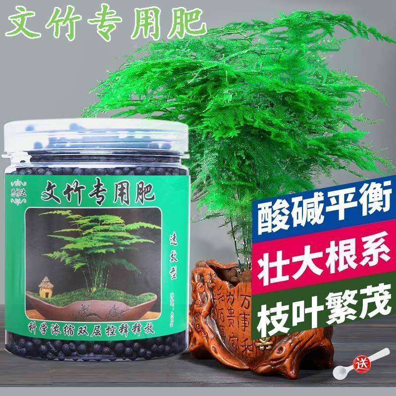 文竹子肥料专用肥云竹富贵竹有机肥棕竹专用花肥室内竹科专用肥料