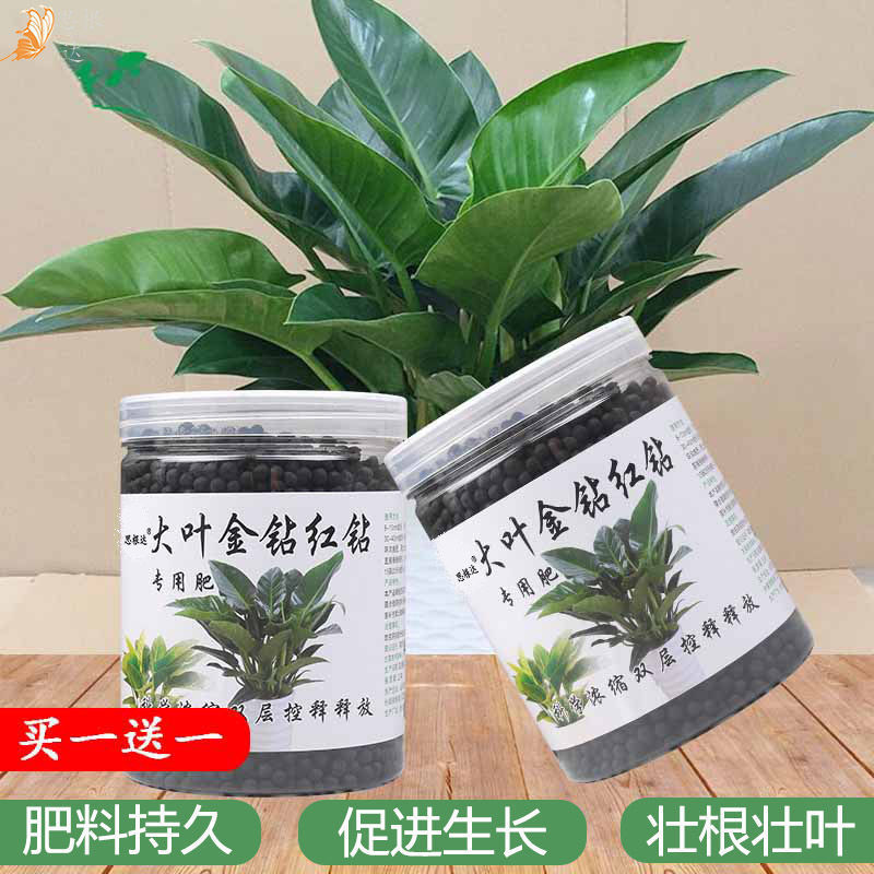 有机大叶金钻肥料盆栽营养液