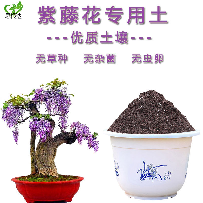 紫藤花专用土营养土种植土养花土