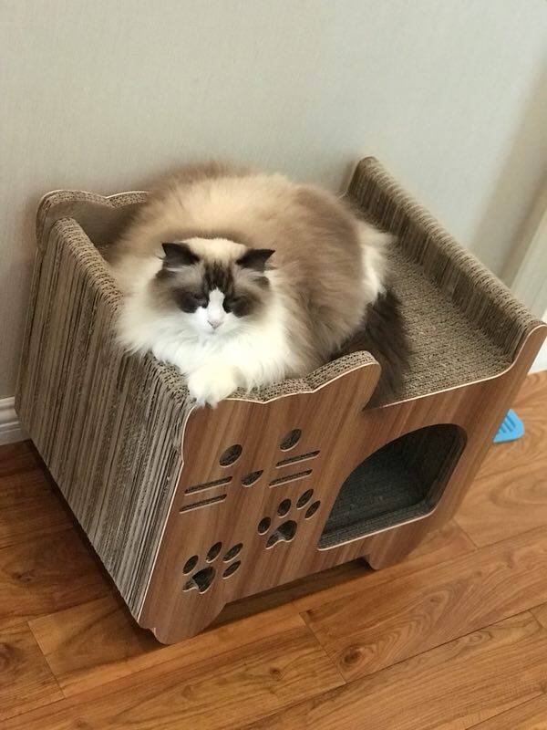 猫咪用品瓦楞纸猫窝猫玩具宠物猫抓板别墅式宠物用品瓦楞抓板包邮