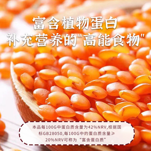 红扁豆新鲜红小扁豆小罐装红豆番茄豆兵豆马粟豆五谷杂粮