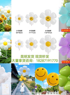 白色小雏菊太阳花笑脸气球带杆野餐生日拍照儿童宝宝周岁生日装饰