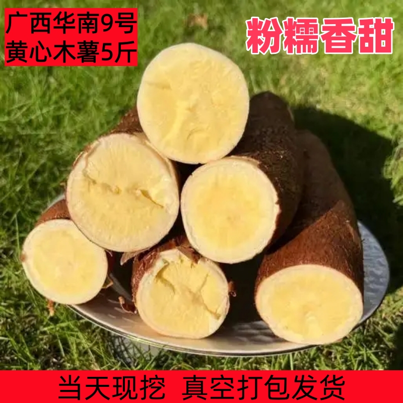 黄心木薯新鲜现挖广西特产农家当季黄肉面包木署板栗红薯糖水店