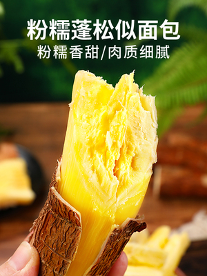 广西黄心面包木薯10斤当季新鲜蔬菜黄肉木薯粉糯甜板栗红薯5包邮