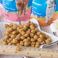 dentalife Cat Teeth Cleaning Snack Biscuits for Eliminating Bad Breath and Teeth Cleaning Snacks 50g / 170g thumbnail 8