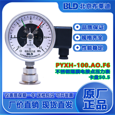 北京耐震电接点压力表