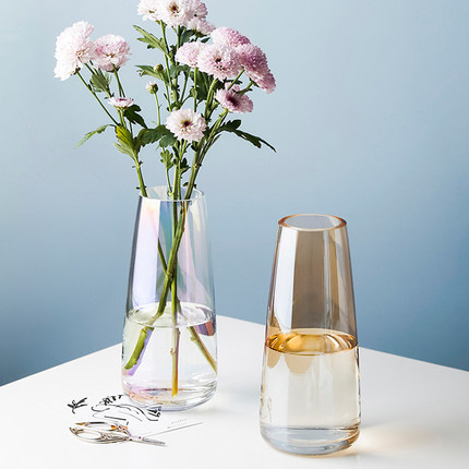 态生活现代简约创意小花盆摆件北欧透明水培干花插花客厅玻璃花瓶