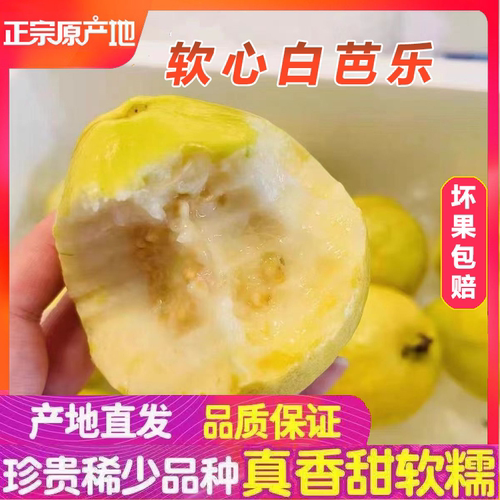 奶油芭乐福建香软黄金芭乐果甜糯番石榴白心冰淇淋口感农家四季果