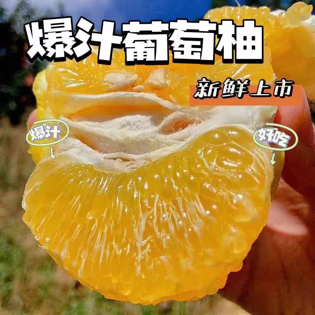 正宗黄金葡萄柚西柚孕妇儿童水果糖高端榨汁饮料柚子农家果园现摘
