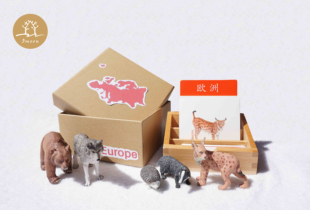 蒙氏蒙特梭利教具亚洲欧洲非洲南美洲南极洲七大洲仿真动物模型