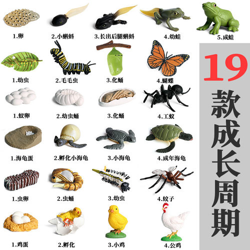 仿真生长周期模型软胶青蛙企鹅