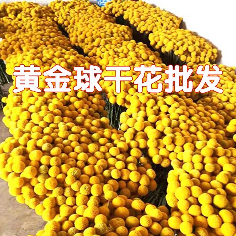 黄金球干花永生花室内装饰花瓶插花水养花配